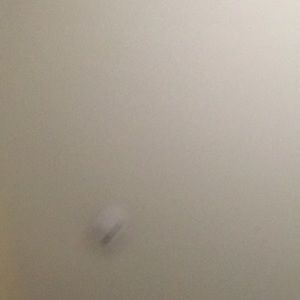 Meet your Posher, Marie